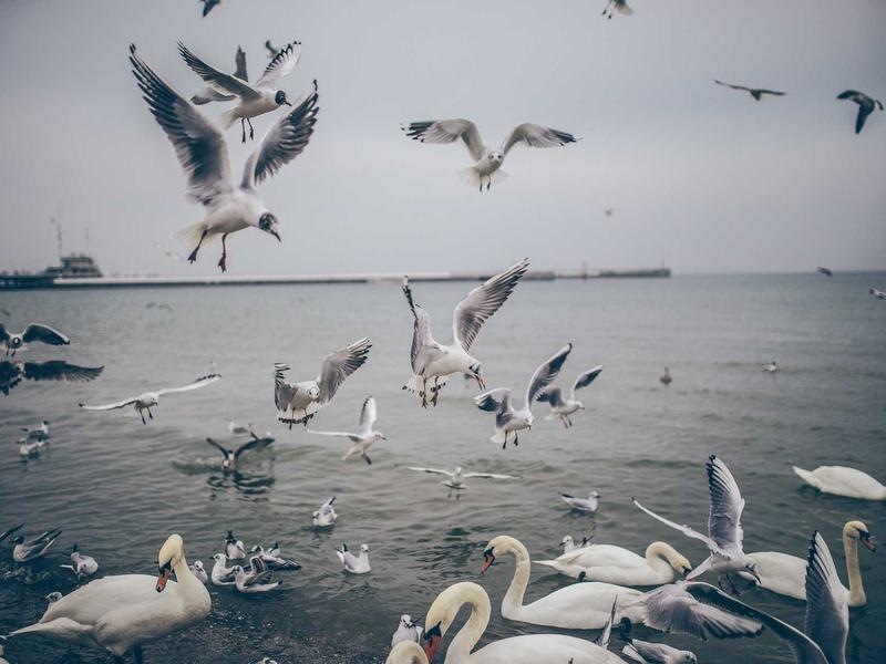 android screenshot 3